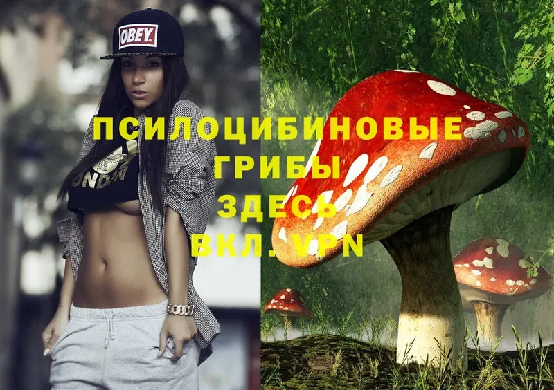 Псилоцибиновые грибы MAGIC MUSHROOMS  darknet какой сайт  Починок 