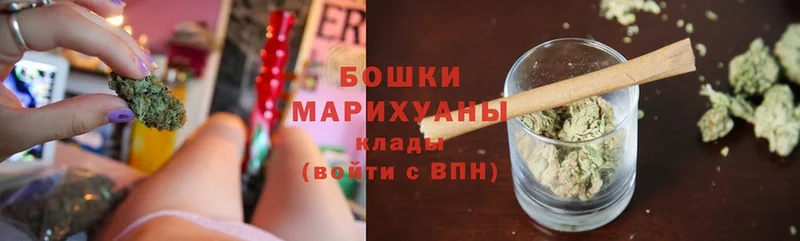 купить наркотики сайты  Починок  Бошки марихуана гибрид 